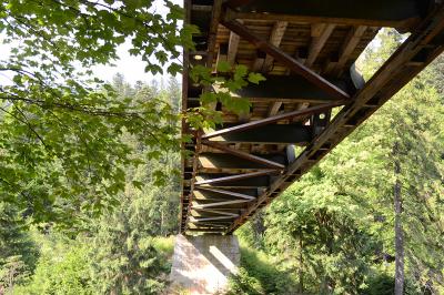 Прикрепленное изображение: DSC_0080_.jpg